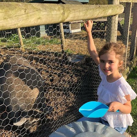 Willow Court Farm Studio South & Petting Farm, 8 Mins From Legoland & Windsor, 15 Mins From Lapland Uk المظهر الخارجي الصورة