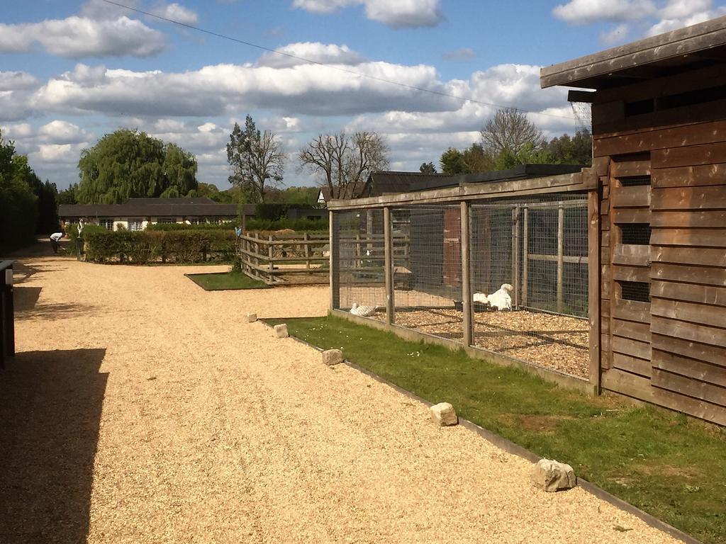 Willow Court Farm Studio South & Petting Farm, 8 Mins From Legoland & Windsor, 15 Mins From Lapland Uk المظهر الخارجي الصورة