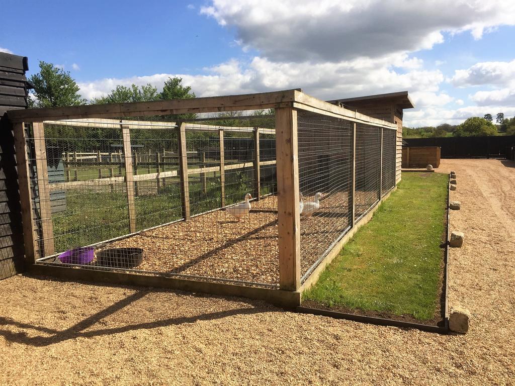 Willow Court Farm Studio South & Petting Farm, 8 Mins From Legoland & Windsor, 15 Mins From Lapland Uk المظهر الخارجي الصورة