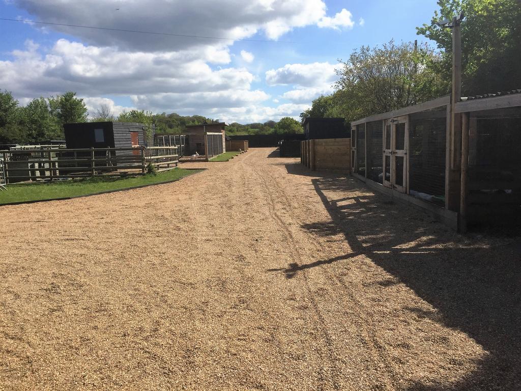 Willow Court Farm Studio South & Petting Farm, 8 Mins From Legoland & Windsor, 15 Mins From Lapland Uk المظهر الخارجي الصورة