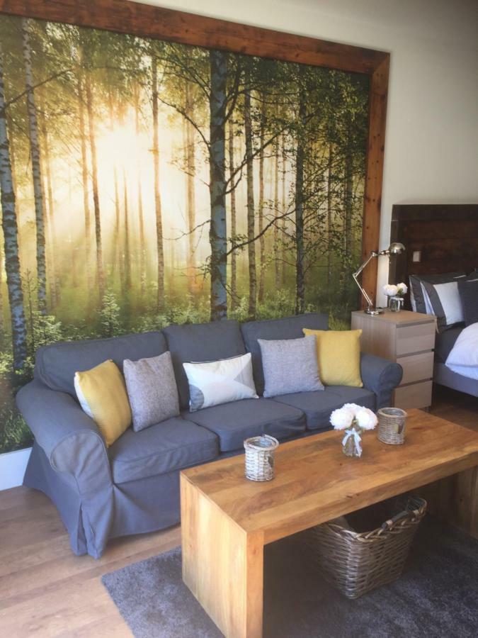 Willow Court Farm Studio South & Petting Farm, 8 Mins From Legoland & Windsor, 15 Mins From Lapland Uk المظهر الخارجي الصورة