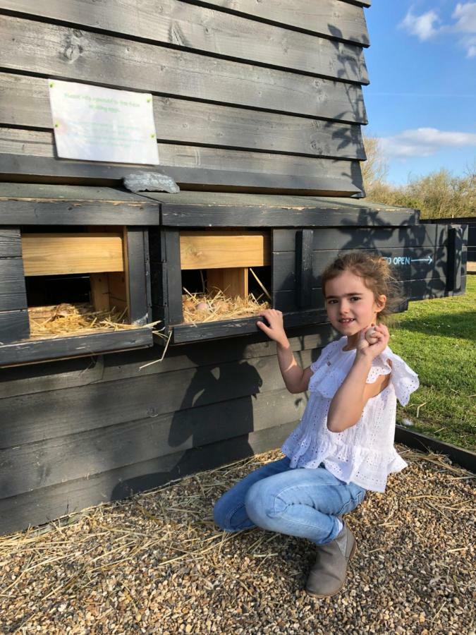 Willow Court Farm Studio South & Petting Farm, 8 Mins From Legoland & Windsor, 15 Mins From Lapland Uk المظهر الخارجي الصورة