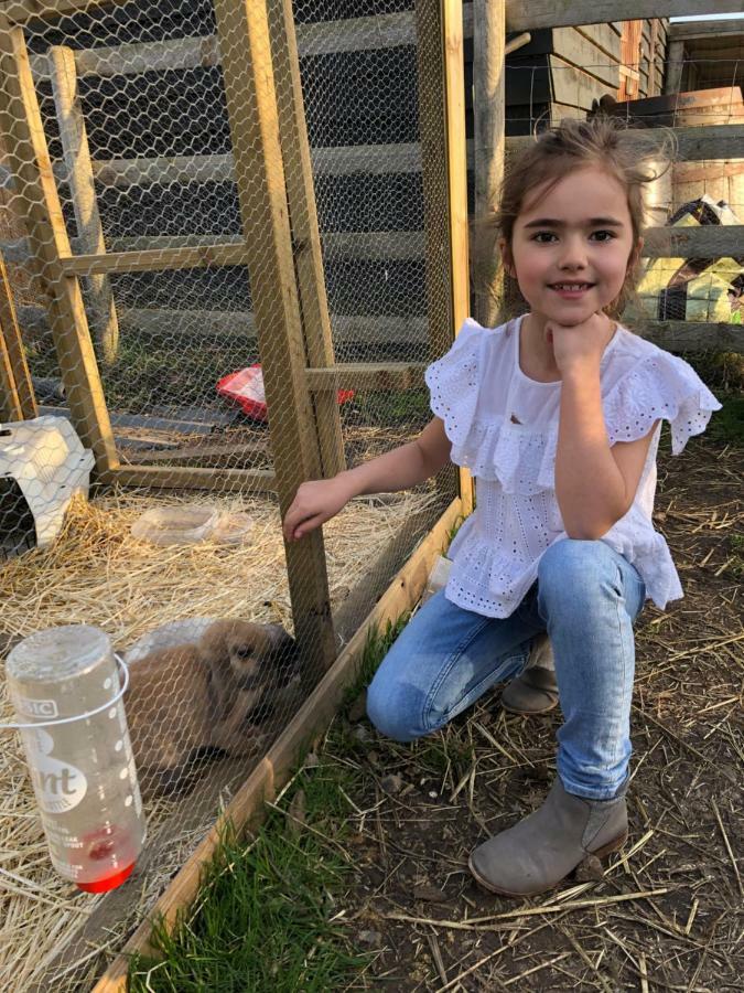 Willow Court Farm Studio South & Petting Farm, 8 Mins From Legoland & Windsor, 15 Mins From Lapland Uk المظهر الخارجي الصورة