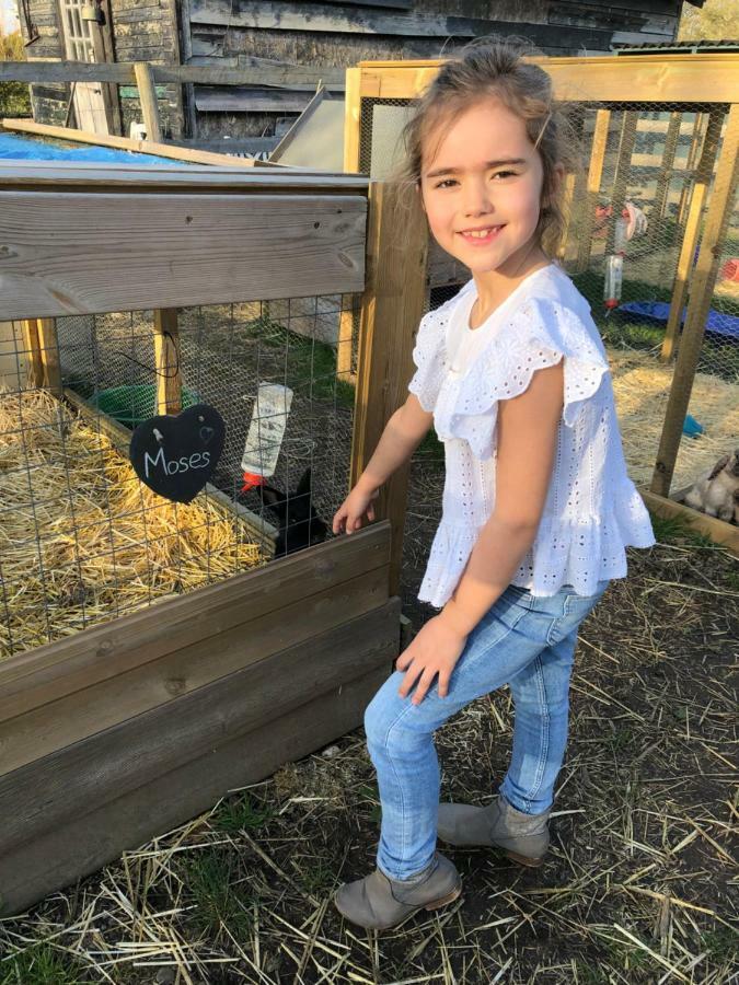 Willow Court Farm Studio South & Petting Farm, 8 Mins From Legoland & Windsor, 15 Mins From Lapland Uk المظهر الخارجي الصورة