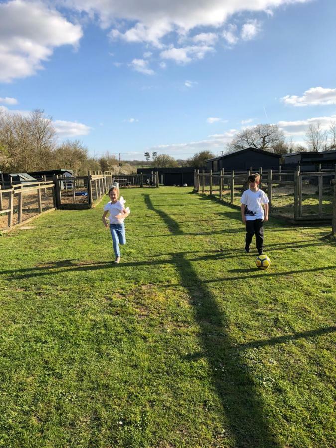Willow Court Farm Studio South & Petting Farm, 8 Mins From Legoland & Windsor, 15 Mins From Lapland Uk المظهر الخارجي الصورة